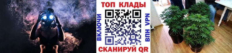 Купить ГАШ  АМФ  Alpha PVP  МАРИХУАНА  Мефедрон  Cocaine  Великий Устюг