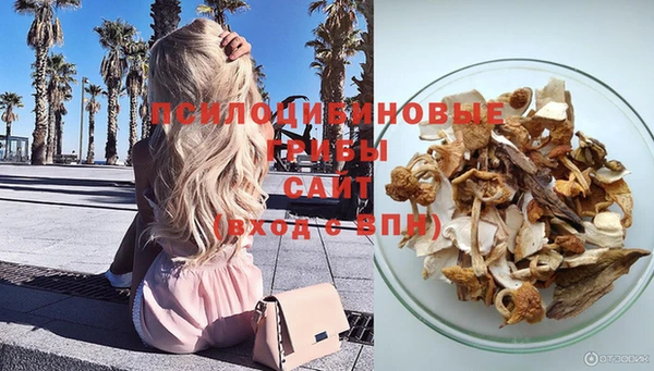 герыч Мегион