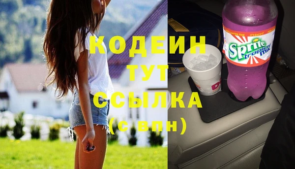 герыч Мегион