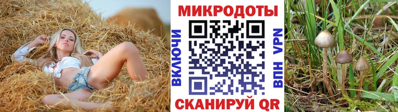 Купить  Великий Устюг  Псилоцибиновые грибы GOLDEN TEACHER 
